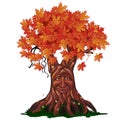 Fantasy deciduous tree with face in the fall isolated on white background. Golden autumn in the enchanted forest. Vector Royalty Free Stock Photo