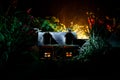 Fantasy decorated photo. Small beautiful house in grass with light. Old house in forest at night with moon. Selective focus Royalty Free Stock Photo