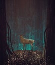 Fantasy Deer In Mystery Forest
