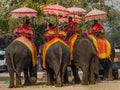 Fantasy elephent in thailand