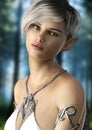 Fantasy elf female with short hair . Posing with a woods background.