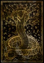 Snake symbol with Eve, Adam, tree of knowledge and flowers on black texture background
