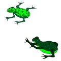 Green wild frogs original logo. Royalty Free Stock Photo