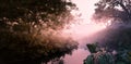 Fantasy evening sunset in jungle paradise. Dense rainforest vegetation, calm pond in misty volumetric light.