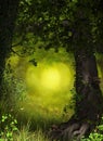 Fantasy Fairy Tale Forest Background