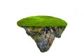 Fantasy floating island with natural grass Isolate