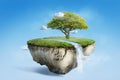 Fantasy floating island with river stream on green grass with tree Royalty Free Stock Photo