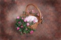 Fantasy Floral Basket Photographer Studio Set (Insert Isolated Client)