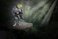 Fantasy Frog, Knight, Shining Armor Royalty Free Stock Photo