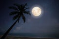 Fantasy full moon with star during night at tropical beach with silhouette palm tree. Royalty Free Stock Photo
