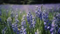 Fantasy gentle floral background with blue flowers in defocused setting Royalty Free Stock Photo