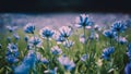 Fantasy gentle floral background with blue flowers in defocused setting Royalty Free Stock Photo