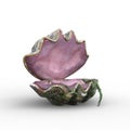 Fantasy giant clam shell open like a mermaid seat. 3D illustration isolated on white background