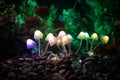 Fantasy Glowing Mushrooms In Mystery Dark Forest Close-up. Beautiful Macro Shot Of Magic Mushroom Or Souls Lost In Avatar Forest.