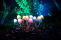 Fantasy Glowing Mushrooms In Mystery Dark Forest Close-up. Beautiful Macro Shot Of Magic Mushroom Or Souls Lost In Avatar Forest.