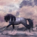 Fantasy Horse Greeting Card / Background