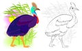 Fantasy illustration of cute cassowary. Colorful and black and white page for coloring book. Worksheet for children and adults.