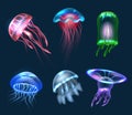 Fantasy jellyfish. Transparent underwater jellyfish collection decent vector fantasy animals realistic set Royalty Free Stock Photo