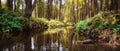 Fantasy jungle landscape of turquoise tropical lake in mangrove rain forest with tunnel and path way through lush. Sri Lanka Royalty Free Stock Photo