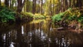 Fantasy jungle landscape of turquoise tropical lake in mangrove rain forest with tunnel and path way through lush. Sri Lanka Royalty Free Stock Photo