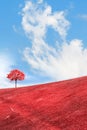 Fantasy landscape. Autumn lonely tree on a red background.