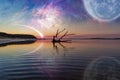 Fantasy landscape with driftwood, huge planet in the sky, galaxy Royalty Free Stock Photo