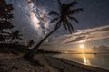 Fantasy landscape with palm tree and milky way Royalty Free Stock Photo