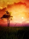 Fantasy Landscape With Sunset And Alder Late Summer Tree Royalty Free Stock Photo