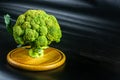 Fantasy mini landscape - tree made with broccoli on a black background, simulating a miniature forest. Concept nature Royalty Free Stock Photo