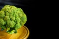 Fantasy mini landscape - tree made with broccoli on a black background, simulating a miniature forest. Concept nature Royalty Free Stock Photo