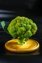 Fantasy mini landscape - tree made with broccoli on a black background, simulating a miniature forest. Concept nature Royalty Free Stock Photo