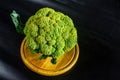 Fantasy mini landscape - tree made with broccoli on a black background, simulating a miniature forest. Concept nature Royalty Free Stock Photo