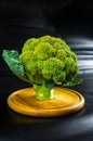 Fantasy mini landscape - tree made with broccoli on a black background, simulating a miniature forest. Concept nature Royalty Free Stock Photo