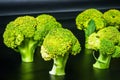 Fantasy mini landscape - trees made with broccoli on a black background, simulating a miniature forest. Concept nature Royalty Free Stock Photo