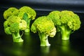 Fantasy mini landscape - trees made with broccoli on a black background, simulating a miniature forest. Concept nature Royalty Free Stock Photo
