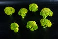 Fantasy mini landscape - trees made with broccoli on a black background, simulating a miniature forest. Concept nature Royalty Free Stock Photo