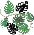 Fantasy. Monstera leaves are rich green, with large pearl strands. cartoon Royalty Free Stock Photo