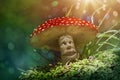 Fantasy mushroom Royalty Free Stock Photo