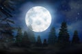 Fantasy night. Full moon in sky over fir forest Royalty Free Stock Photo