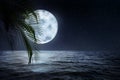 Fantasy night. Palm leaves and full moon in starry sky over sea Royalty Free Stock Photo