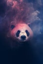 Fantasy panda bear - panda deity - panda god - dark background