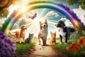 pets heaven for dogs and cats