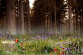 Misty Forest Clearing with Wildflowers and Tree Stump Royalty Free Stock Photo