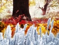 Fantasy photo. Change of seasons. grass in hoarfrost and yellow fallen leaves. Royalty Free Stock Photo