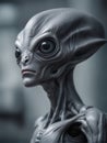 Photography of an ultra realistic Alien in dramatic light