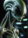 Photography of an ultra realistic Alien in dramatic light