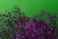 Fantasy Picture With Purple Trees And Green Sky Leafs Nature