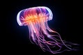 Fantasy pink jellyfish on dark gradient - abstract art with neon glow - stunning detail Royalty Free Stock Photo