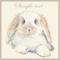 Fantasy portrait of a rabbit. Royalty Free Stock Photo