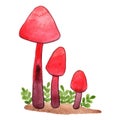 Fantasy red mushroom with fern watercolor.